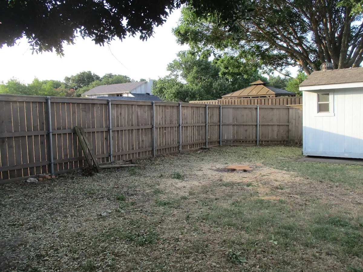 Cleared yard after professional tree removal in Wattsburg