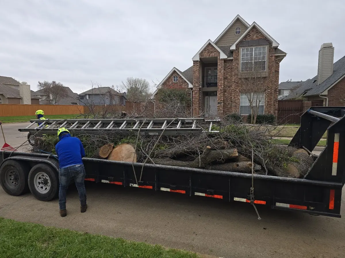 Expert Tree Fertilization with proper safety equipment in Wattsburg